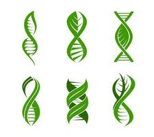 blad dna växt ikon, vetenskap, hälsa, genetik vektor