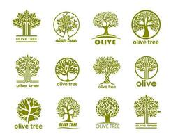 Olive Baum Symbole, Olive Öl Etiketten, organisch Essen vektor