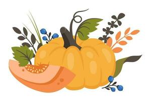 hela pumpa och halv med falla löv, bär. mogen skörda grönsak. friska vegetarian mat. vektor illustration för höst design, Bra näring, jordbruks skörda, tacksägelse, halloween