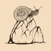 Schnecke auf Felsen Hand gezeichnet. Jahrgang Linie Gravur Stil. Vektor Illustration