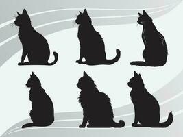 Katze, Kätzchen, Katze Folge, Katze Silhouette, Katze eps bündeln, schwarz Katze Folge, Haustier Clip Art vektor