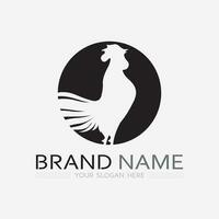 kyckling logotyp tupp och höna logotyp för fjäderfän jordbruk djur- logotyp vektor illustration design