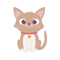 braune kleine Katze sitzt Cartoon, Haustiere vektor