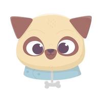 süßes Gesicht Mops Hundehalsband mit Knochen Haustier Cartoon Tier, Haustiere vektor
