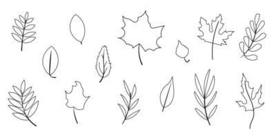 Blätter Linie Herbst einstellen Elemente Wald Gekritzel vektor
