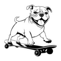 rolig och söt bulldogg på en skateboard, skateboard hund vektor