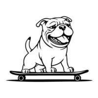 komisch und süß Bulldogge auf ein Skateboard, Skateboarding Hund vektor