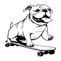 komisch und süß Bulldogge auf ein Skateboard, Skateboarding Hund vektor