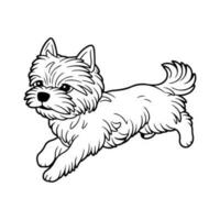 affenpinscher, hand dragen tecknad serie karaktär, hund ikon. vektor