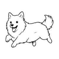 amerikanisch Eskimo Hund, Hand gezeichnet Karikatur Charakter, Hund Symbol. vektor