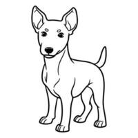 Basenji, Hand gezeichnet Karikatur Charakter, Hund Symbol. vektor