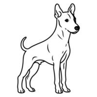 Basenji, Hand gezeichnet Karikatur Charakter, Hund Symbol. vektor