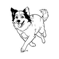 Rand Collie, Hand gezeichnet Karikatur Charakter, Hund Symbol. vektor