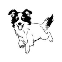 Rand Collie, Hand gezeichnet Karikatur Charakter, Hund Symbol. vektor