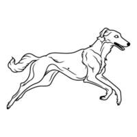 borzoi, hand dragen tecknad serie karaktär, hund ikon. vektor