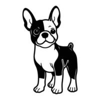 Boston Terrier, Hand gezeichnet Karikatur Charakter, Hund Symbol. vektor
