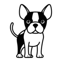 boston terrier, hand dragen tecknad serie karaktär, hund ikon. vektor