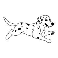 dalmatian hund, hand dragen tecknad serie karaktär, hund ikon. vektor