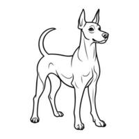 Dobermann Hund, Hand gezeichnet Karikatur Charakter, Hund Symbol. vektor