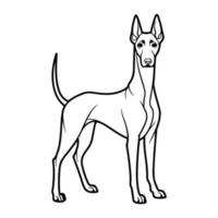 Dobermann Hund, Hand gezeichnet Karikatur Charakter, Hund Symbol. vektor