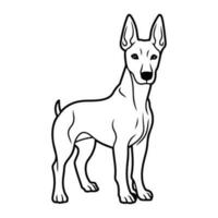 Dobermann Hund, Hand gezeichnet Karikatur Charakter, Hund Symbol. vektor