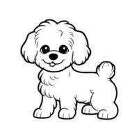 maltesisch Hund, Hand gezeichnet Karikatur Charakter, Hund Symbol. vektor