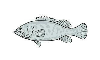 atlanten Goliat grupperare fisk golf av mexico tecknad serie teckning vektor