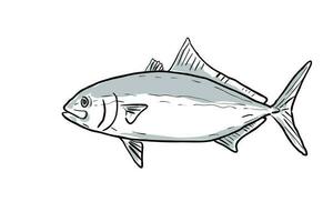 gebändert Ruderfisch Fisch Golf von Mexiko Karikatur Zeichnung vektor