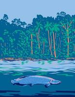 Arapaima im das Amazonas Fluss im Süd Amerika wpa Kunst Deko Poster vektor