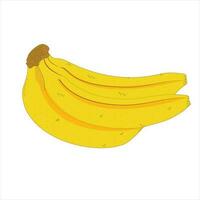 banan, frukt, mat, isolerat, gul, friska, tropisk, mogen, vit, färsk, knippa, ljuv, diet, mellanmål, äter, organisk, skal, friskhet, hälsa, vegetarian, vitamin, objekt, bananer, natur, ingen vektor