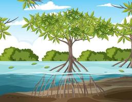 natur scen med mangroveskog och rötter av mangroveträd i vattnet vektor