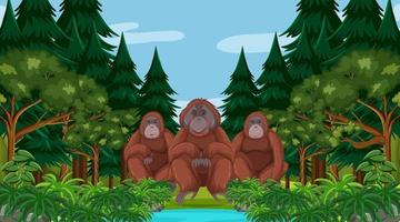 orangutang i skog eller regnskog med många träd vektor