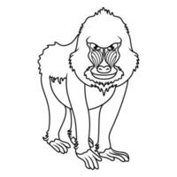 Karikatur Mandrill Pavian Linie Kunst vektor