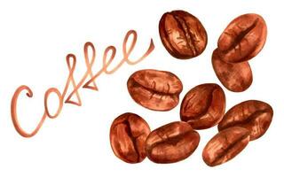 Kaffee Bohnen.Zusammensetzung von fallen Bohnen mit ein Inschrift.international Kaffee Tag. mit ...-Geschmack trinken mit Koffein. Marker und aquarell.hand gezeichnet isoliert Kunst. vektor