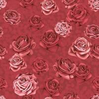 nahtlos romantisch Rose Hintergrund Muster - - Boho Stil vektor