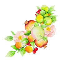 frukt bukett med äpplen, granatäpple, röd rosor, apelsiner, persikor. vattenfärg vektor