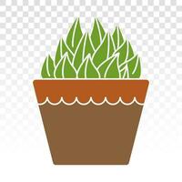 Haworthia cooperi dekorativ Pflanze eben Farbe Symbol zum Apps und Websites vektor