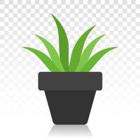 Grün Aloe vera mit eingetopft Pflanze eben Symbol zum Apps und Websites vektor