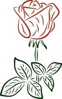 Vektor rot gezeichnet Rose. Linie Zeichnung von ein Blume. das Stengel und Blätter von das Pflanze.
