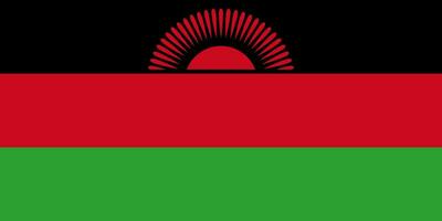 de nationell flagga av de republik av malawi är isolerat i officiell färger. vektor