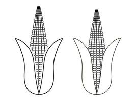 Ohr von Mais oder Mais Linie Kunst auf ein transparent Hintergrund vektor