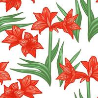 Vektor nahtlos Amaryllis Blumen- handgemalt Muster. Hippeastrum Blume Hintergrund zum Ihre Design Projekte Mode Textil, Hintergrund, Sammelalbum und usw.