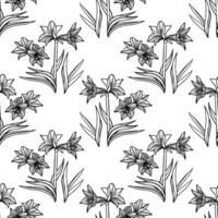 Vektor nahtlos Amaryllis Blumen- handgemalt Muster. Hippeastrum Blume Hintergrund zum Ihre Design Projekte Mode Textil, Hintergrund, Sammelalbum und usw.