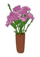 Vektor lila Nelke Bündel im Keramik Vase. isoliert eben Gliederung Blumen auf Weiß Hintergrund. einzigartig Blumen- Illustration. geeignet zum Gruß Karte, Einladung, Banner