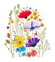 vilda blommor. mjuk blommig bukett. sommar fält. vektor isolerat illustration