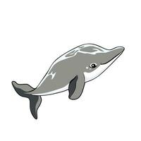 delfin grå Färg animering vektor illustration logotyp