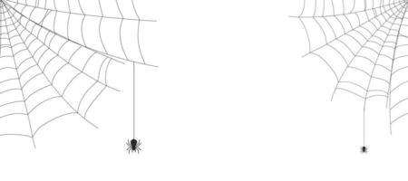 vit halloween baner med spindelnät och spindlar och kopia Plats för text. vektor bakgrund.