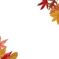 Herbst Rand mit getrocknet Ahorn Blätter Dekoration vektor