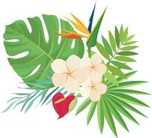 sommar design med tropisk löv dekoration vektor