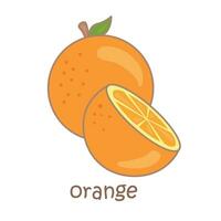 Alphabet Ö zum Orange Wortschatz Schule Lektion Karikatur Illustration Vektor Clip Art Aufkleber